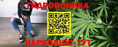 сатива Коммунар