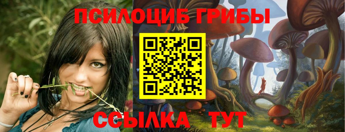 Псилоцибиновые грибы мухоморы  Псилоцибиновые грибы мицелий  Вход с VPN  Ленинск-Кузнецкий 